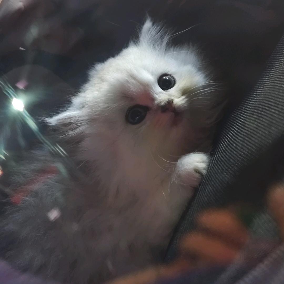 童童～