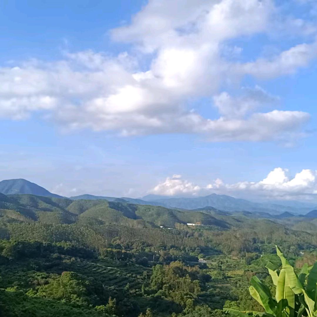 吴谷杂粮⁶⁷⁷⁰