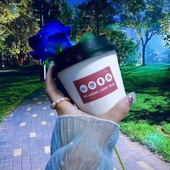 如秋叶之静美