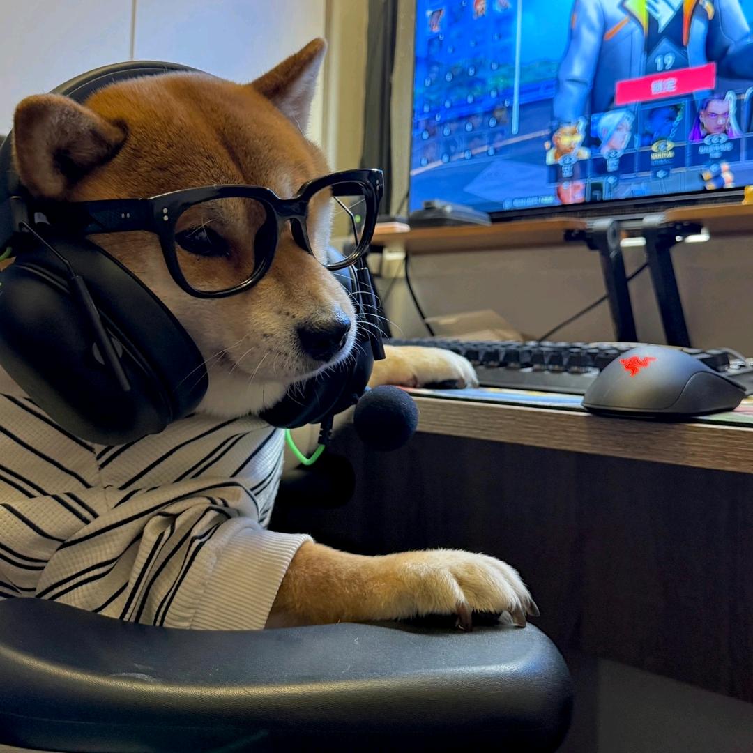 取名字也太麻烦了