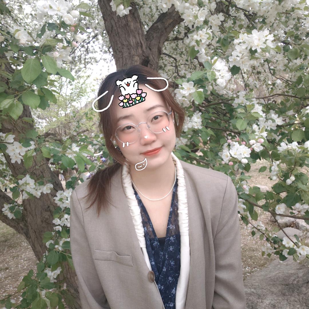 顶级黑铁IV