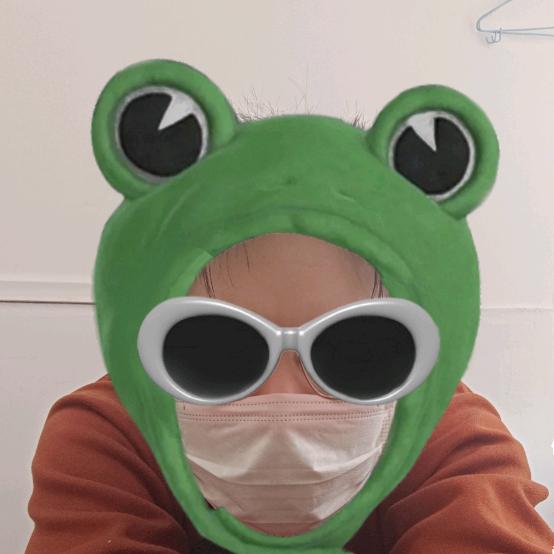爱看短剧的青蛙