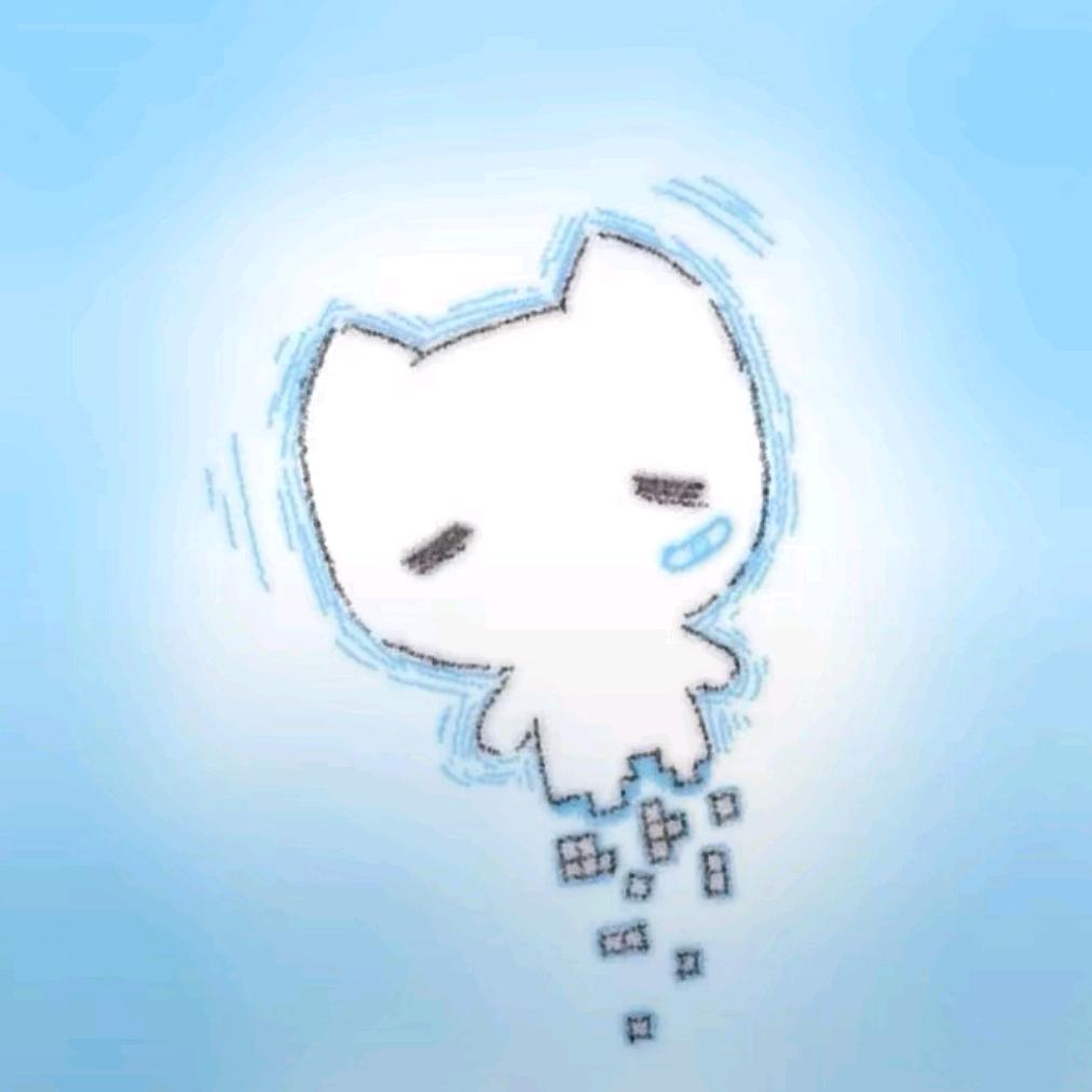 两只猫头像