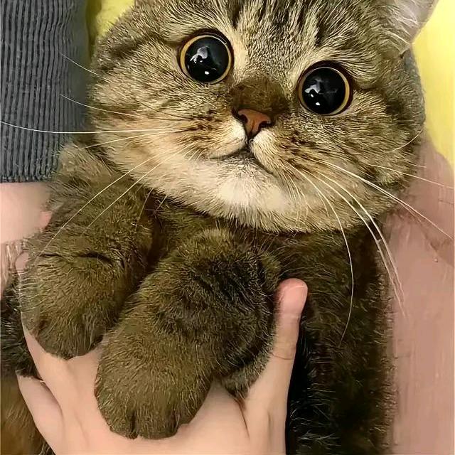 小6姐姐