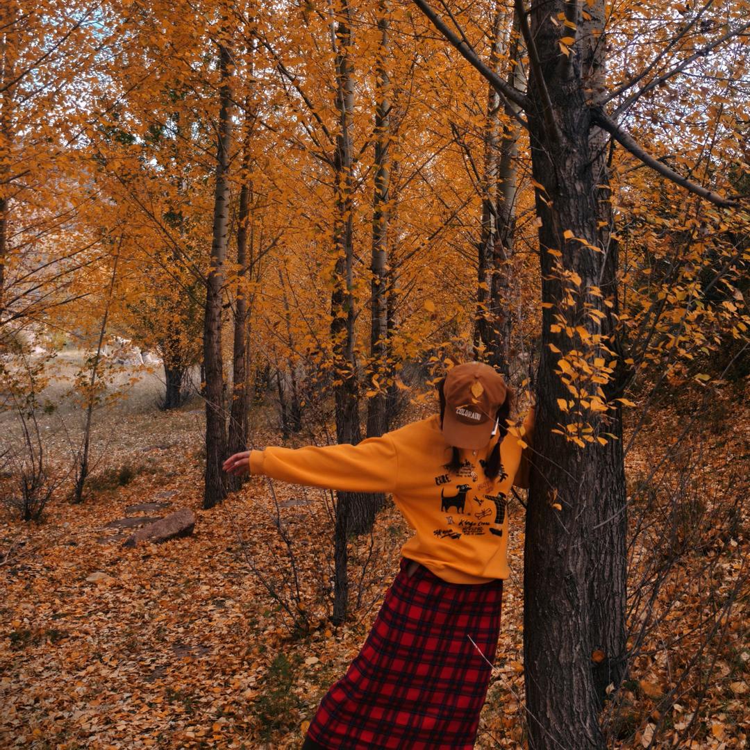 屿桉西北旅行🦌