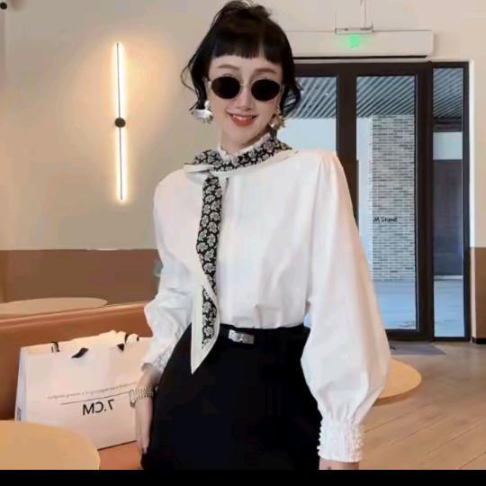 陈先生与小白白(时尚穿搭)