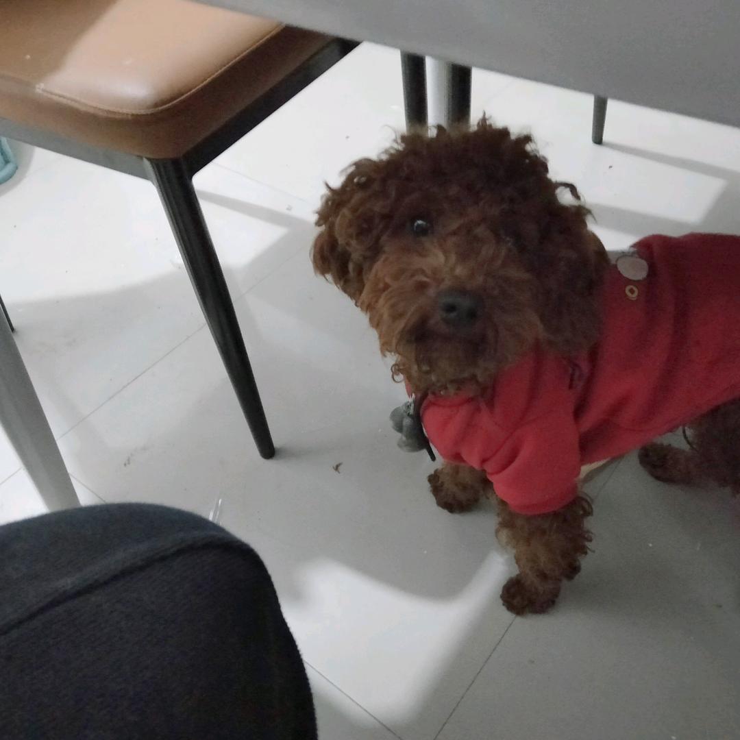 糖糖妈咪的妈咪