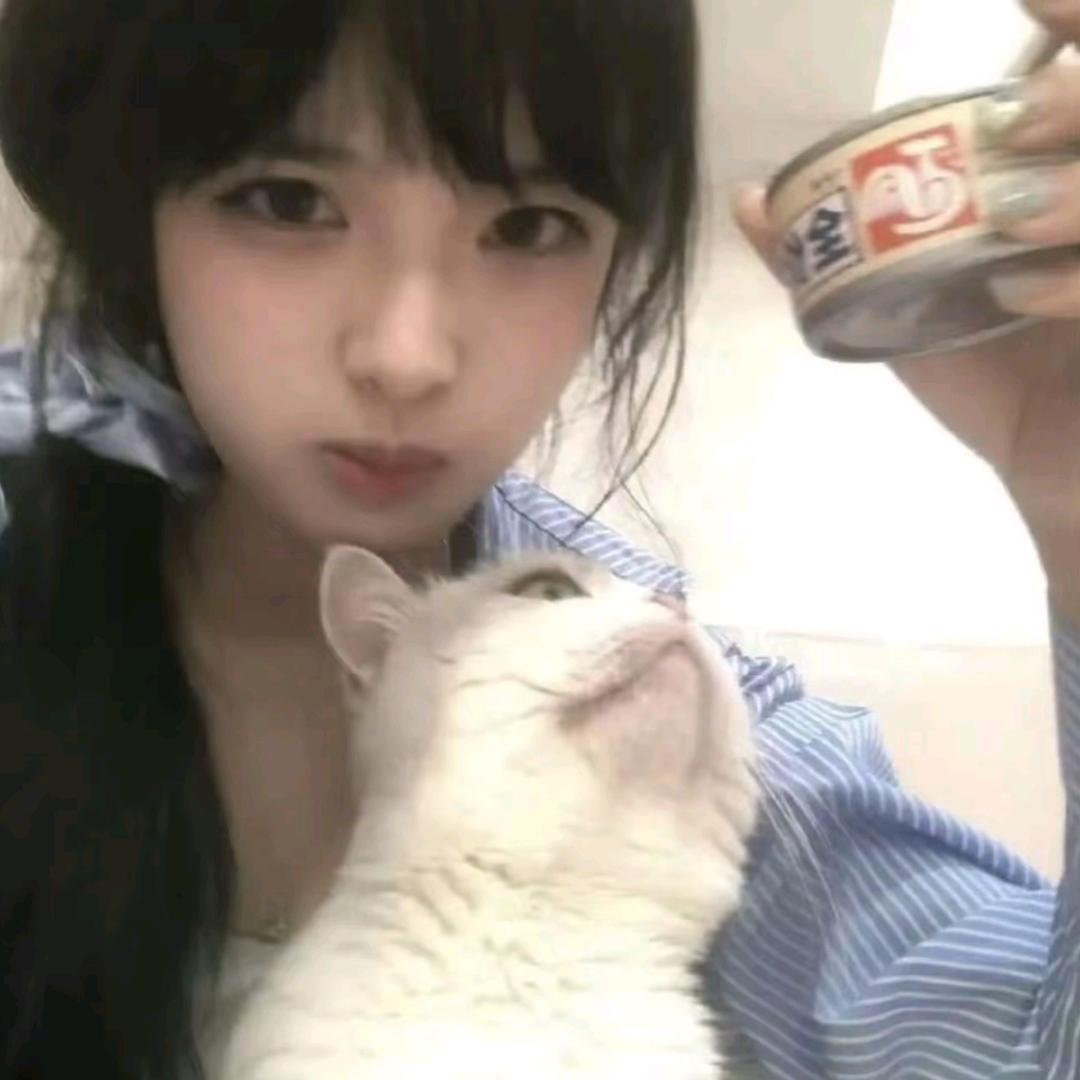 ᥫᩣ 张碗航