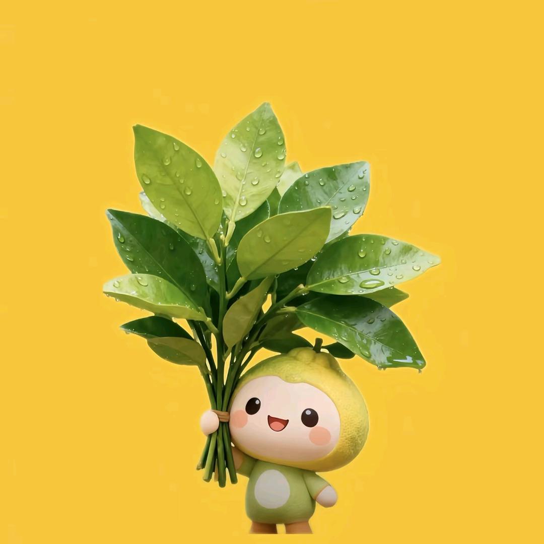 拿铁瑶
