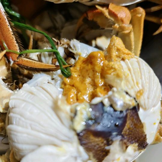 熊阿姨精养大闸蟹