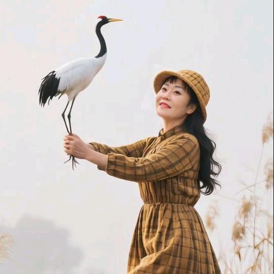 陈红