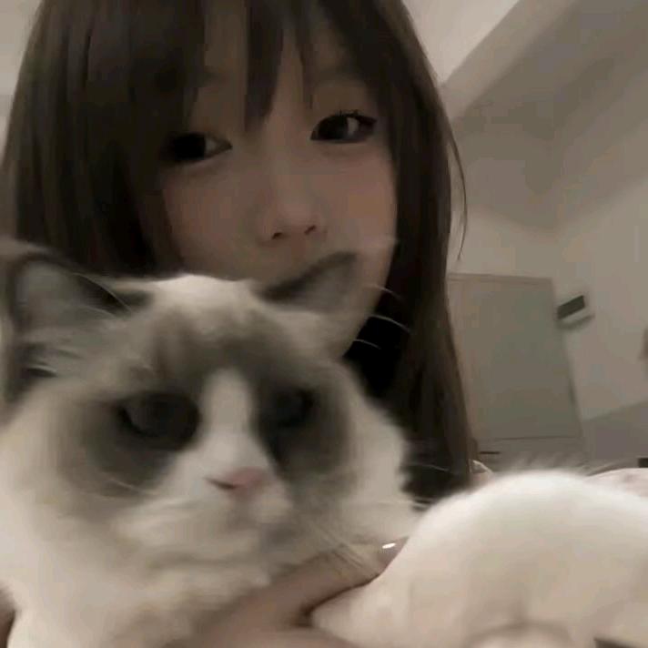 小星
