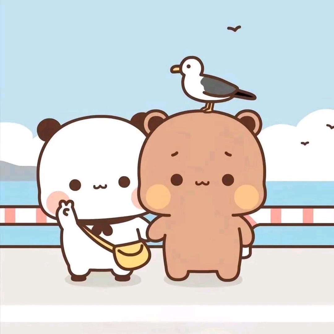 一二宝和臭布布