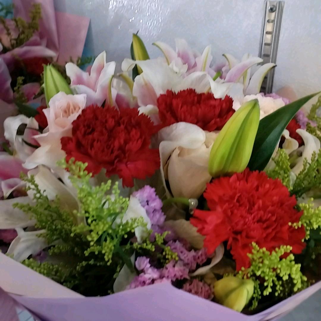 人生若只如初见@