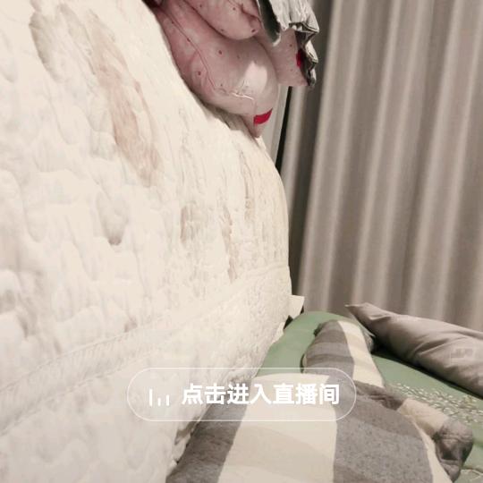 春夏秋冬