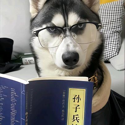 自制·开心