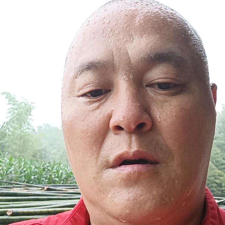 春哥蓉姐