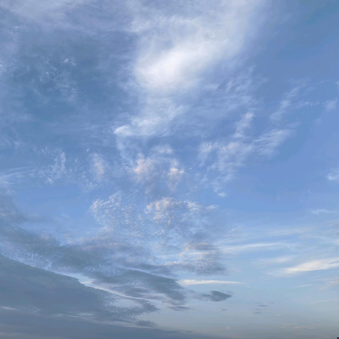 你你你你你你你