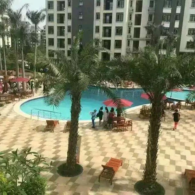 春天的燕子🌊