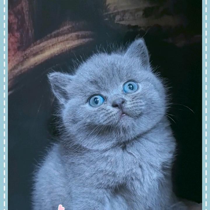 拾串烧鸟官方号