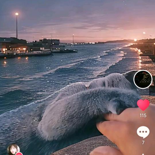 陌上人♀老陌不会唱