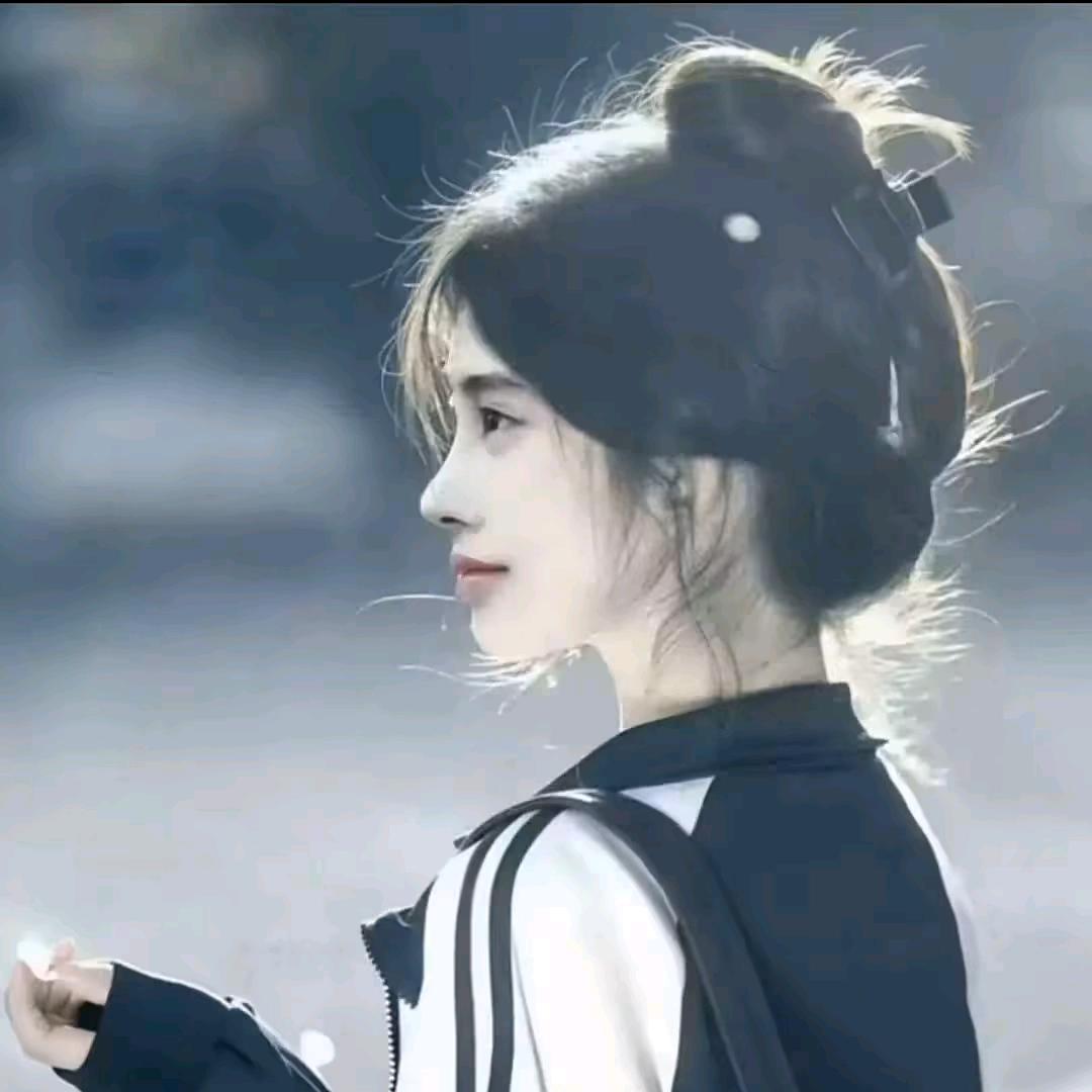 豆本豆（我是真来财）