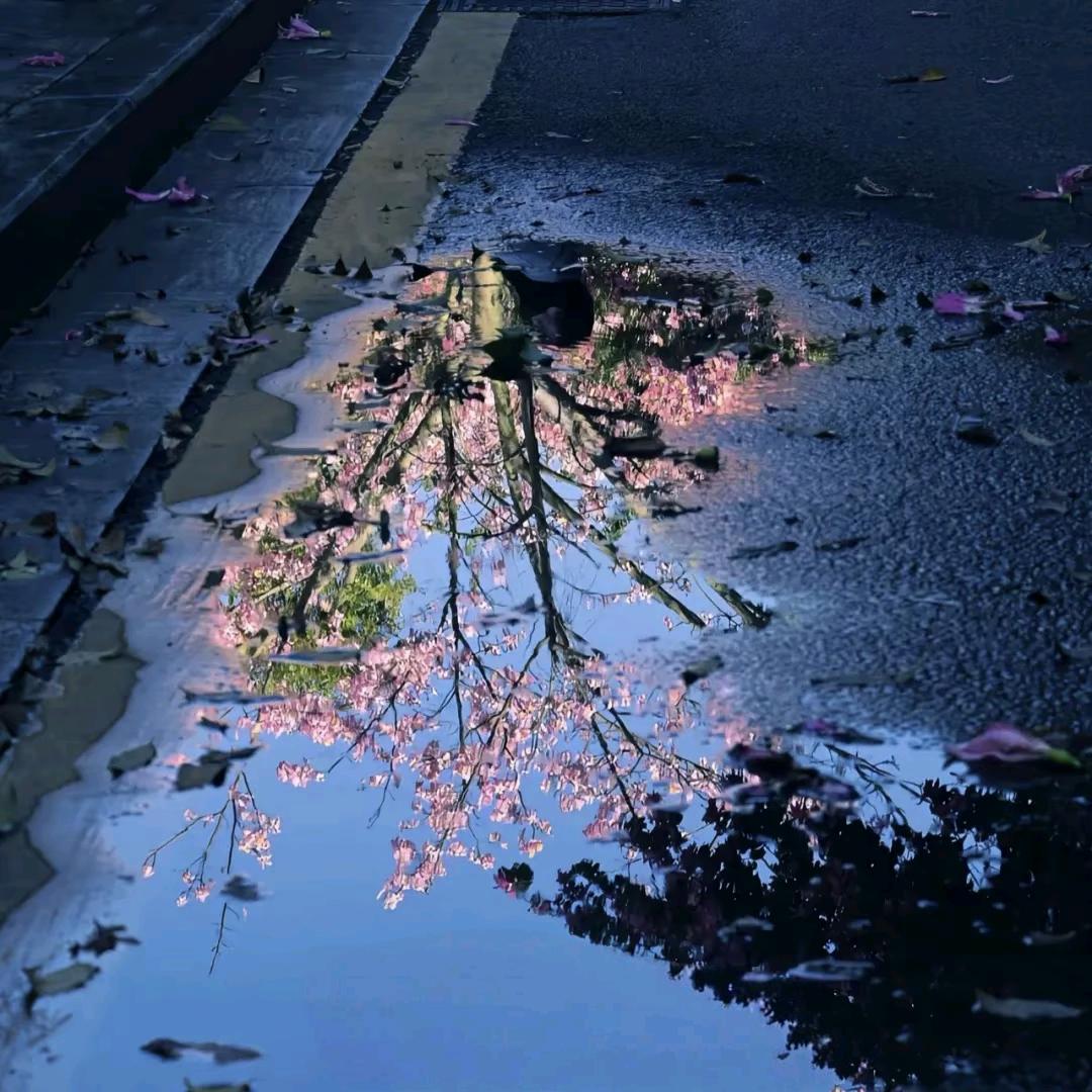 原来是你