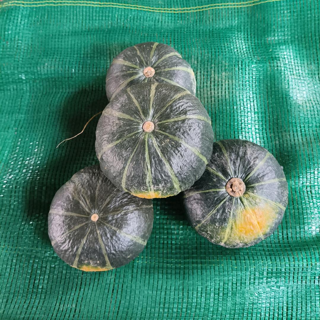 江哥生鲜助农