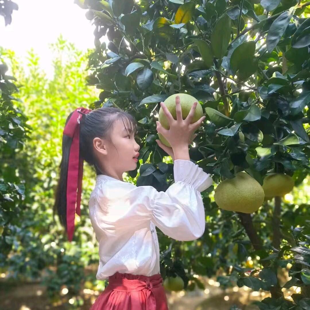 度尾文旦柚良方果业