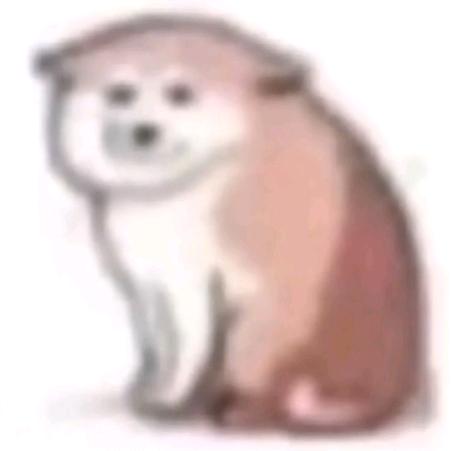 。。