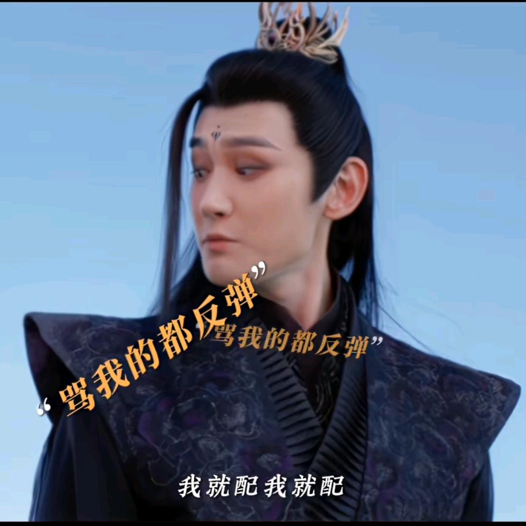 茶茶小货柜