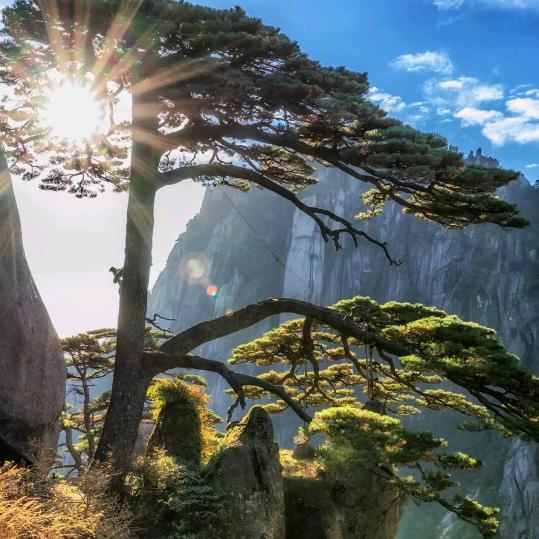 不必在乎我是谁