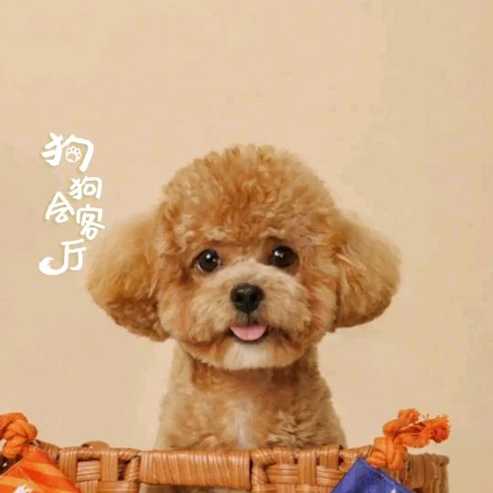 手机用户71561637045
