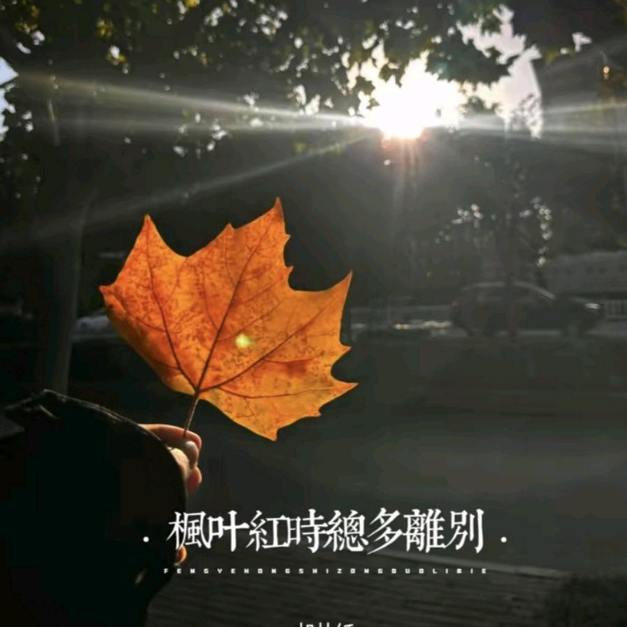 岳来岳味