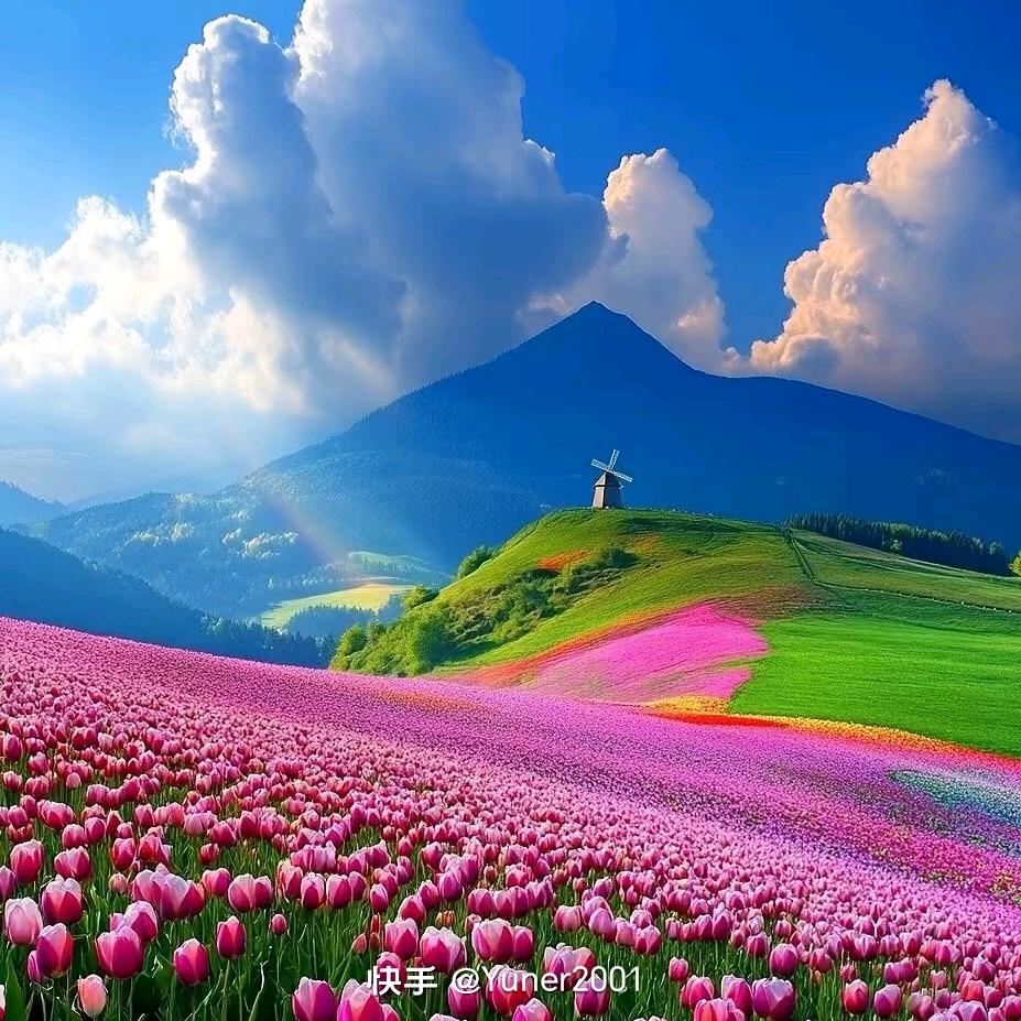 🇻🇳穿透心灵⛹️‍♀️的冰💐🌾