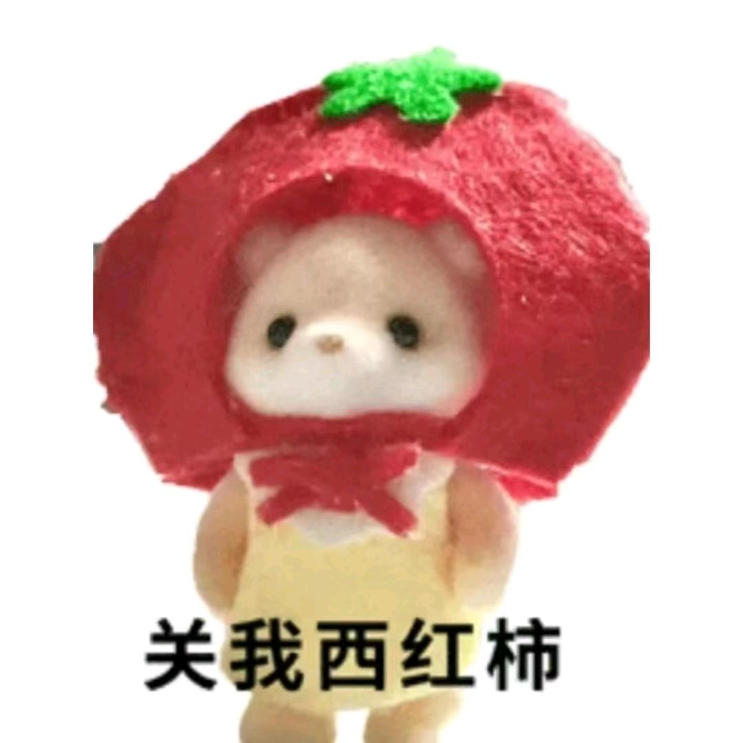 新车 二手车 租车