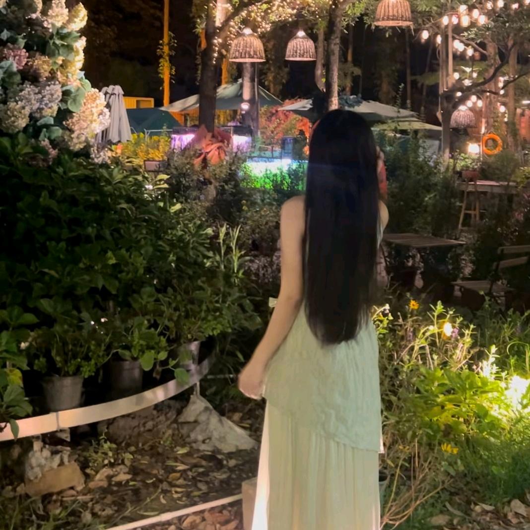 莫莫