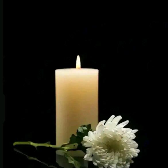 💗᭄小幸运u]᭄