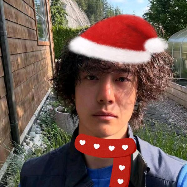 冬天雪花里的阳光