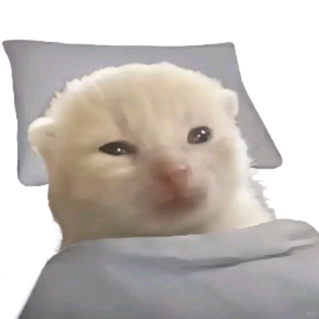 火鸡面大王