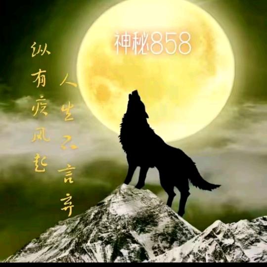 神秘人八五八团