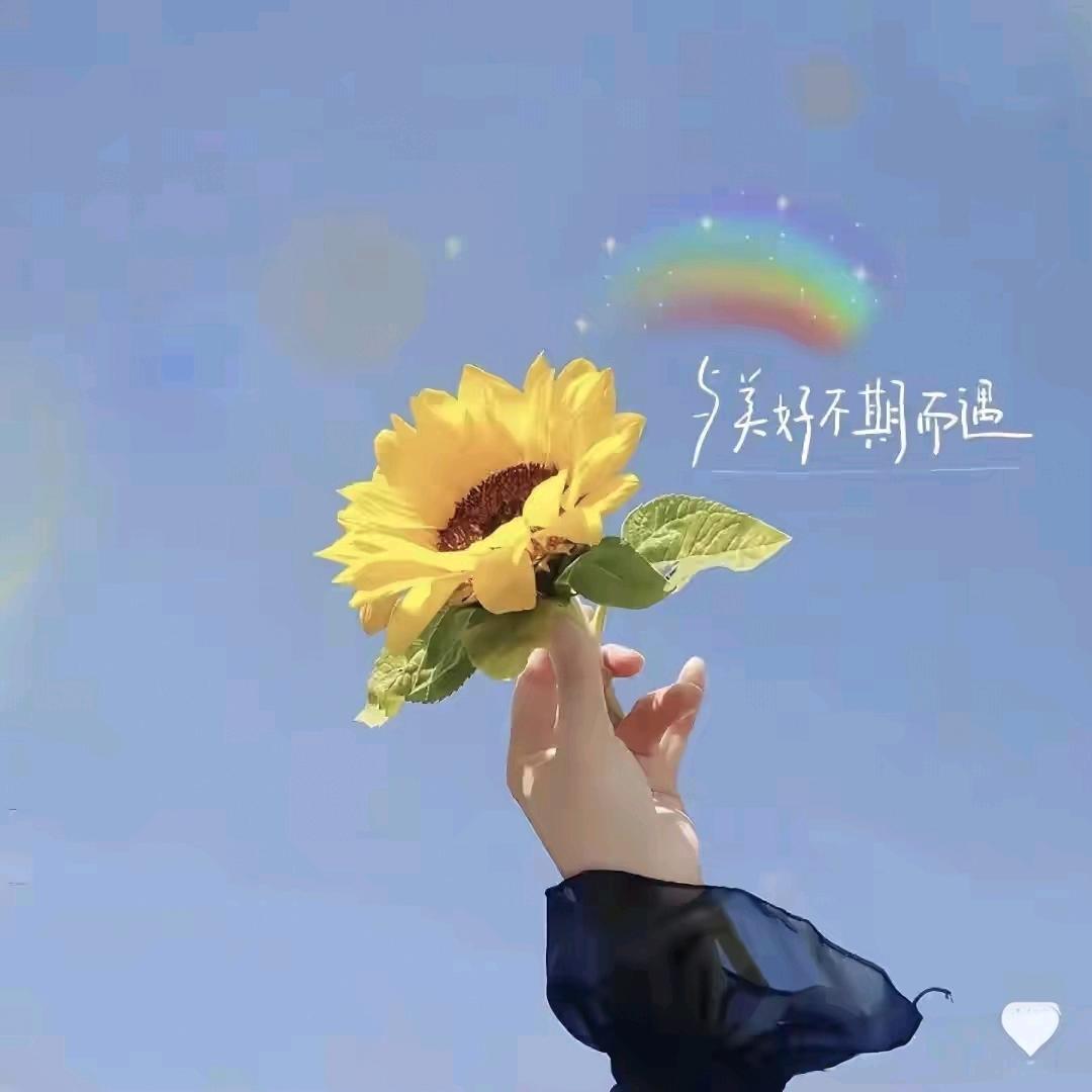 YY🍀