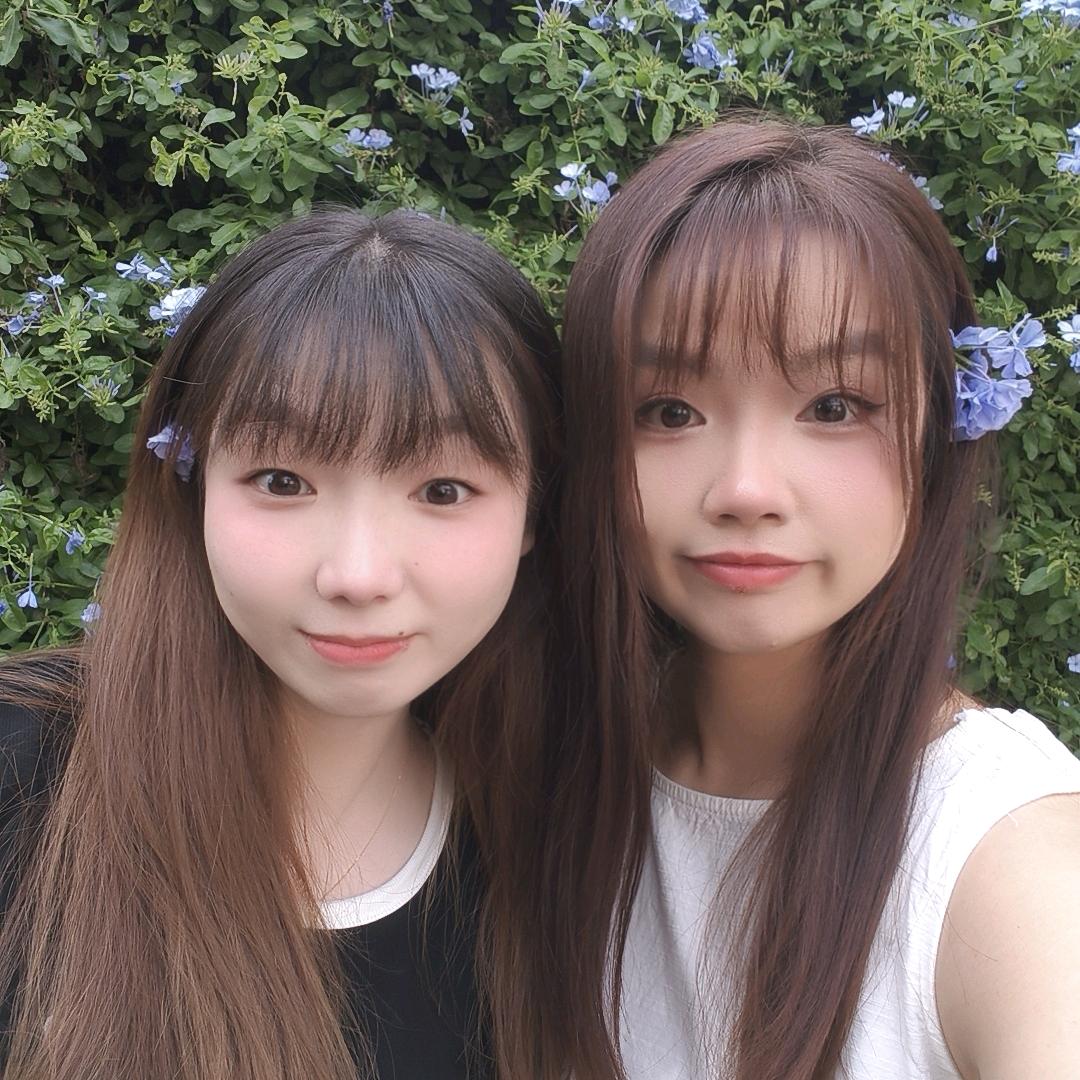 小姐妹的摆摊日记