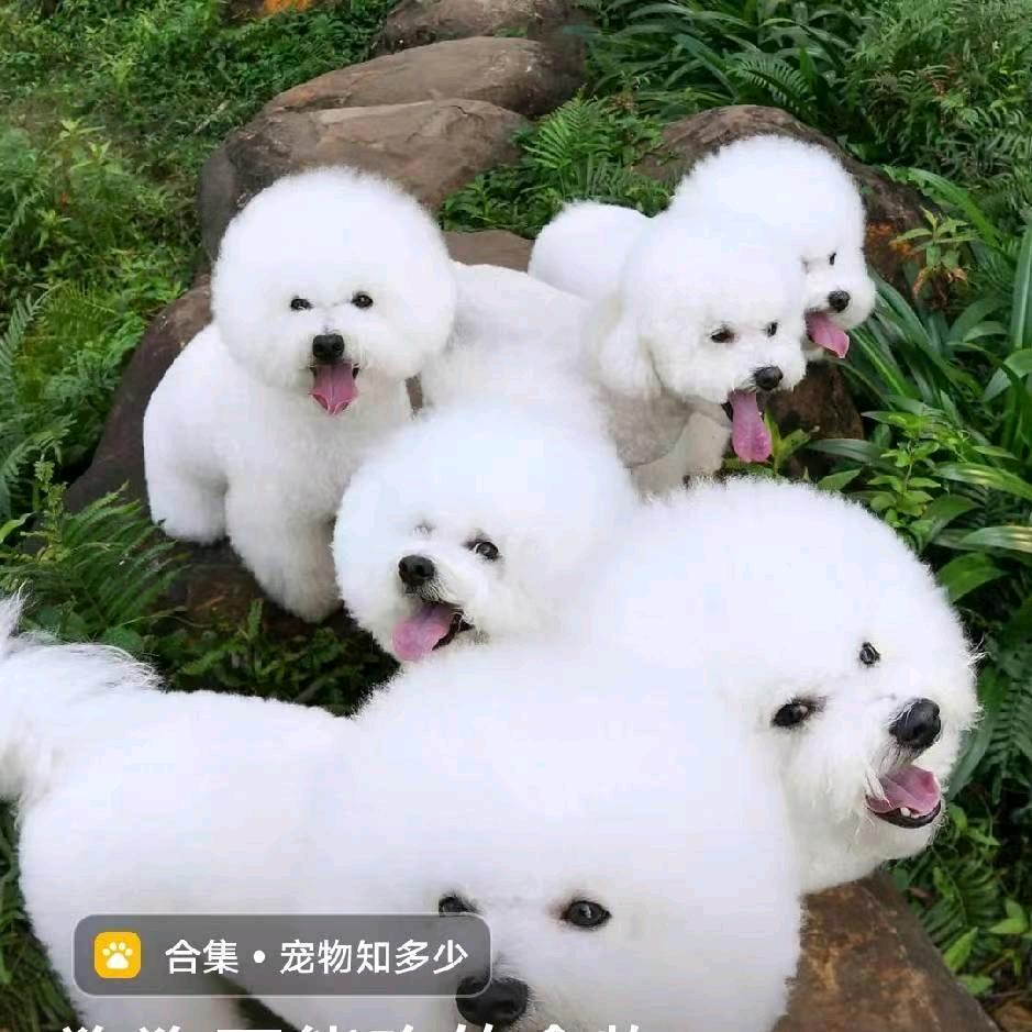 回忆