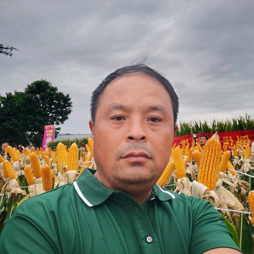 籽粒饱满@绍礼农资