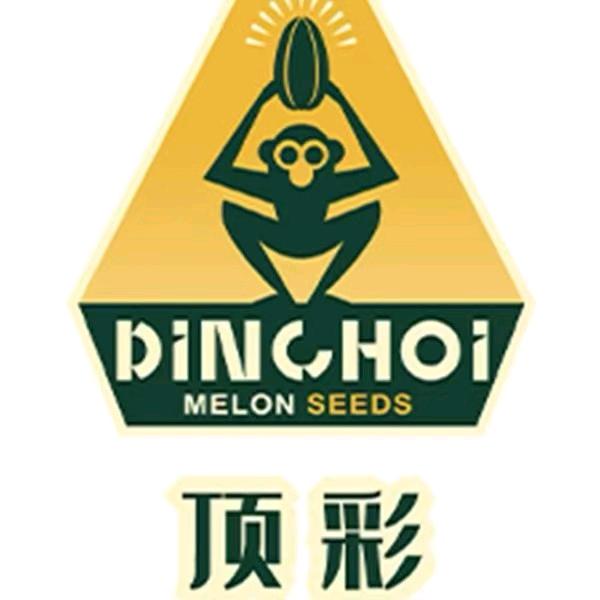顶彩甄选内蒙古瓜子