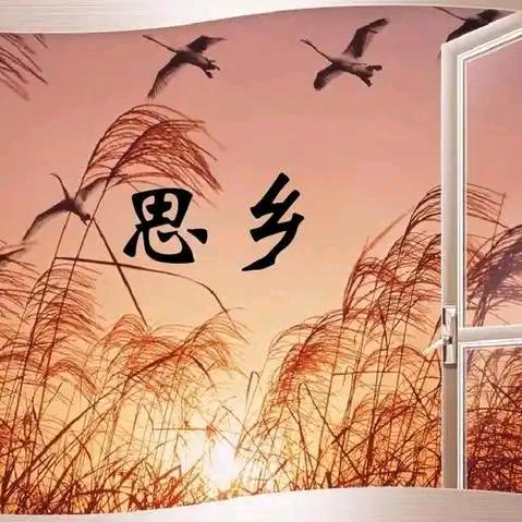 ༻乡音༺