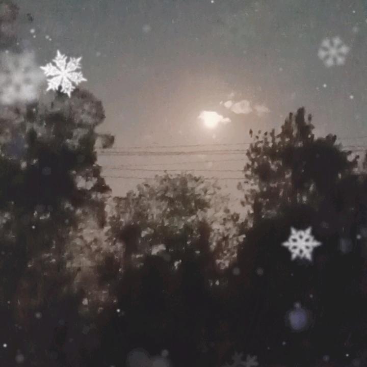 谁能给我一杯忘情水🥃