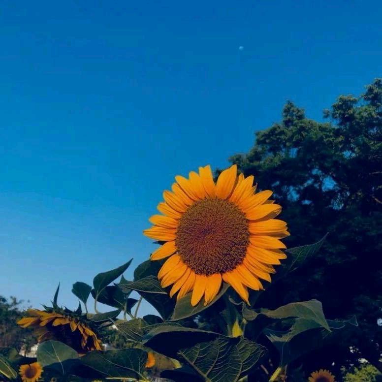 W.W