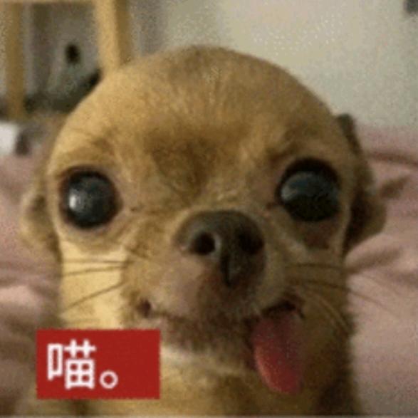 我们洗袜袜最厉害了